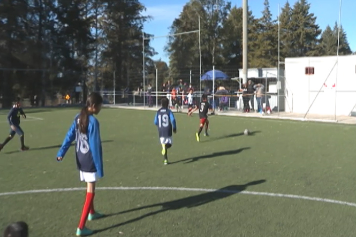 Regresó a la actividad la liga de futbol infantil