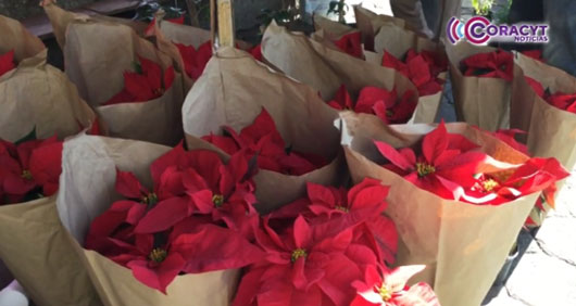 Comerciantes de Zacatelco esperan repunte en sus ventas por temporada decembrina 