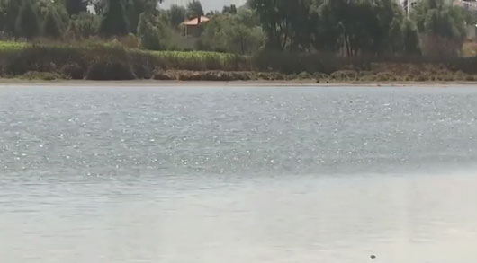 Lluvias incrementaron el nivel de la laguna de Acuitlapilco 