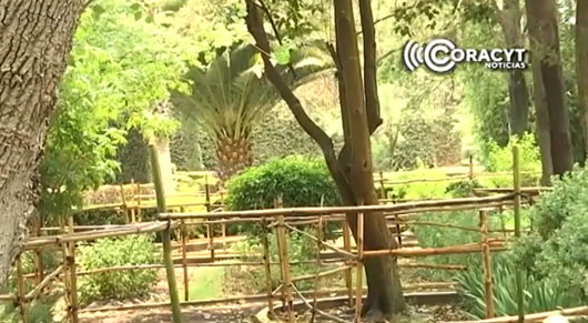 Realiza Jardín Botánico de Tizatlán visitas guiadas 