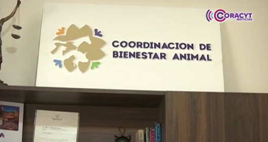 Colocará CBA ofrenda en memoria de “lomitos” fallecidos 