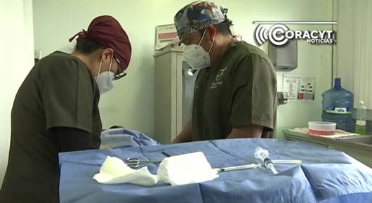 Realiza IMSS Tlaxcala Jornada de Vasectomías 