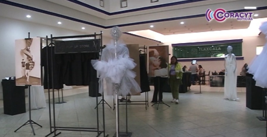 Visita la exposición 