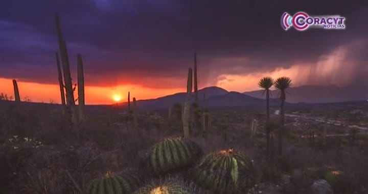 Extienden Semillero Creativo de SPM sus actividades a San Isidro Buensuceso