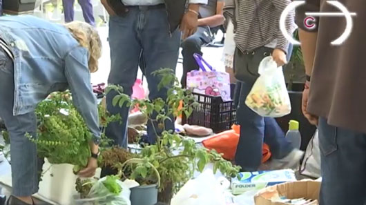 Diversos productos se ofrecieron en el Tianguis del Trueque en el Palacio de Cultura