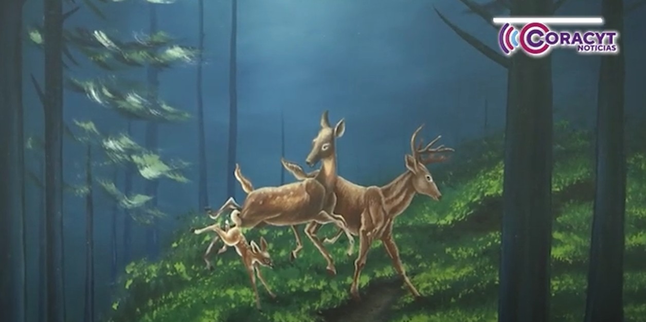 “Pasión y amor en cada realidad”, se exhibe en Casa de Artesanías