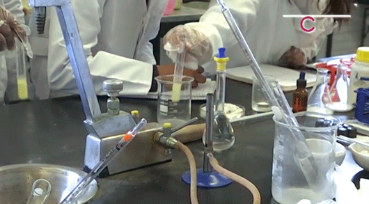 Alumnas del CECyTE 7 construyen su futuro laboral