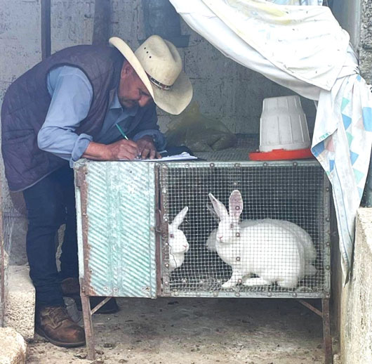 La UATx fortalece al sector pecuario de Tlaxcala con proyecto de cunicultura