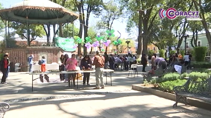 Ofreció Festival Feminista un espacio seguro para la protesta pacífica