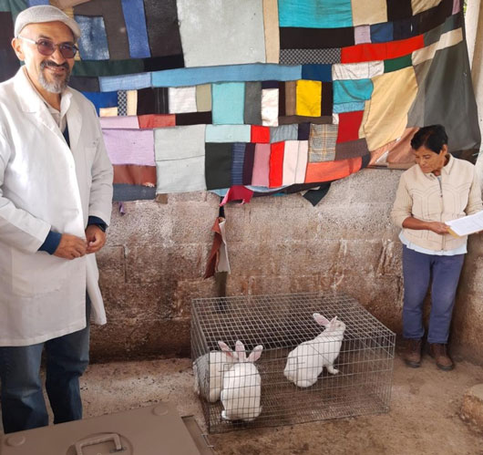 Impulsa UATx Programa de Cunicultura 