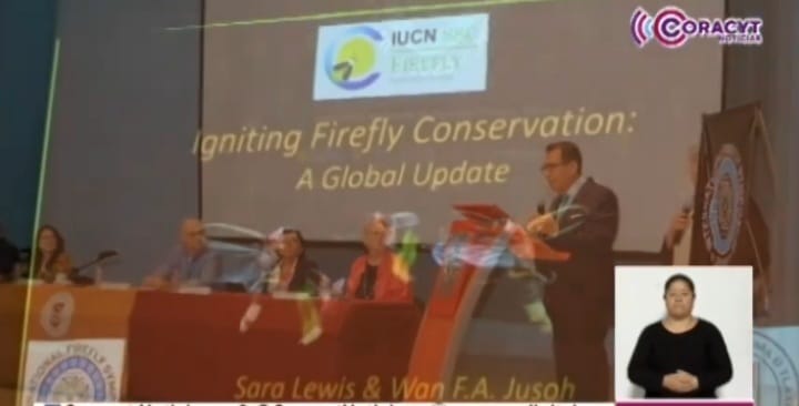 Buscarán proyectar el Santuario de las Luciérnagas a nivel internacional