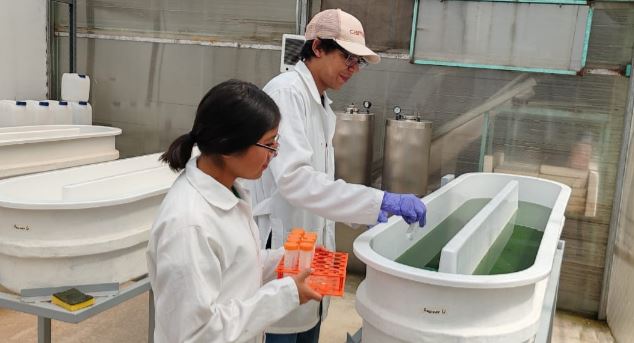 “Verano en la Ciencia” acerca a estudiantes de CECyTE-Emsad al mundo de la investigación científica