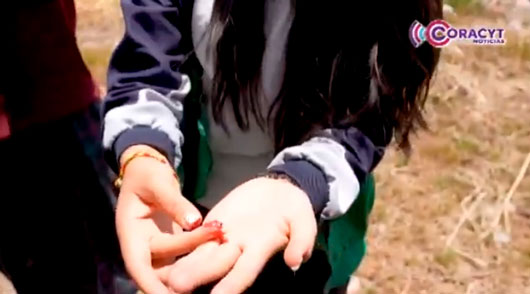 Equipo “Nopacoch” del Emsad 23 representarán a México en Colombia 