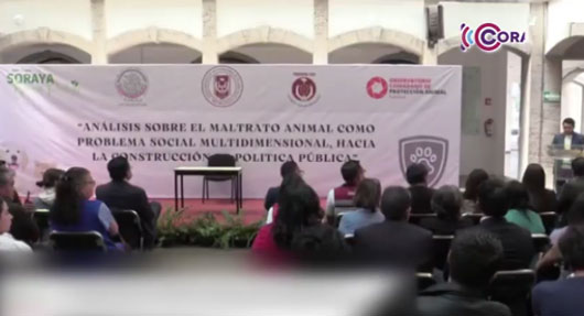 Especialistas analizaron estrategias para evitar el maltrato animal