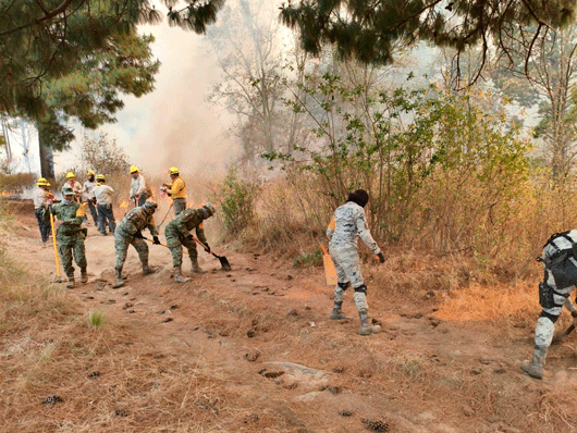 Unen esfuerzos brigadistas, voluntarios y militares para atender incendio en el municipio de Atltzayanca