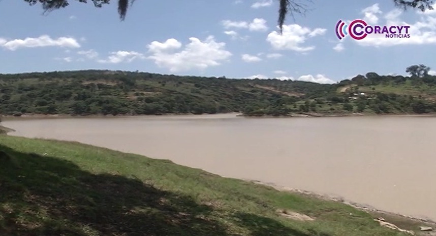 Tlaxcala y Japón intercambiaron estrategias contra el cambio climático