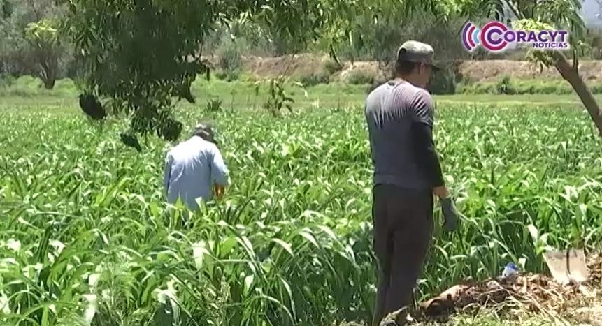 Respalda gobierno estatal a productores con proyectos de riego y almacenamiento de agua