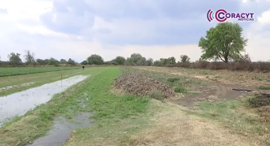 Apoyará gobierno estatal a productores agrícolas afectados por lluvias