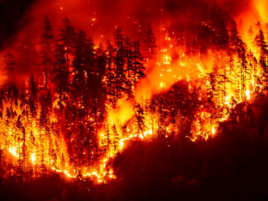 Republicanos culpan a Canadá por humo de incendios que llega a EU