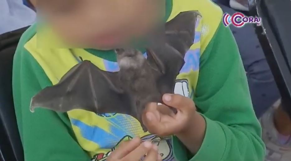 Promueven conservación de fauna silvestre con jornada ambiental en Natívitas