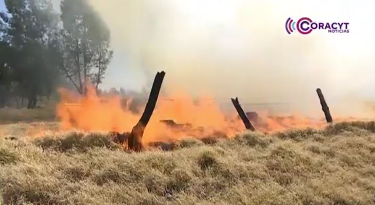 Durante 2025, la brigada “Correcaminos” de la Conafor sofocó 50 incendios 