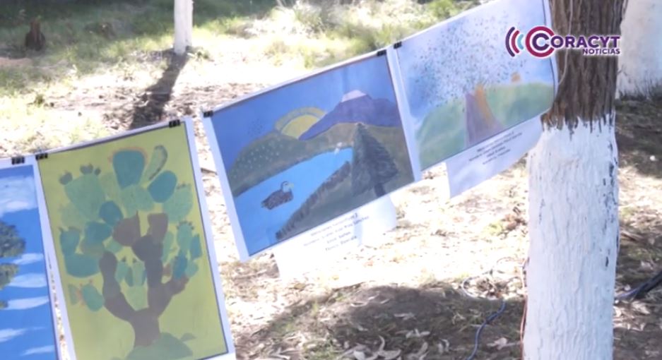 Premió la Conafor a ganadores del concurso “Vamos a pintar un árbol 2025”