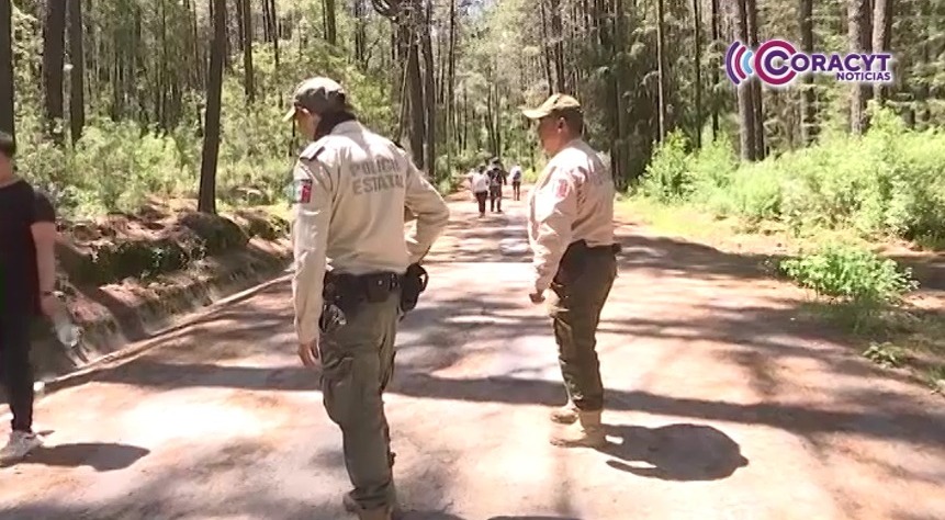Aseguró SSC madera en el Parque Nacional La Malinche