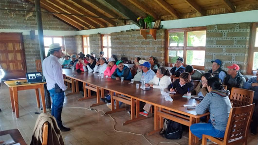 Tlaxcala blinda sus agaves; SIA capacita a productores para prevenir plaga del picudo