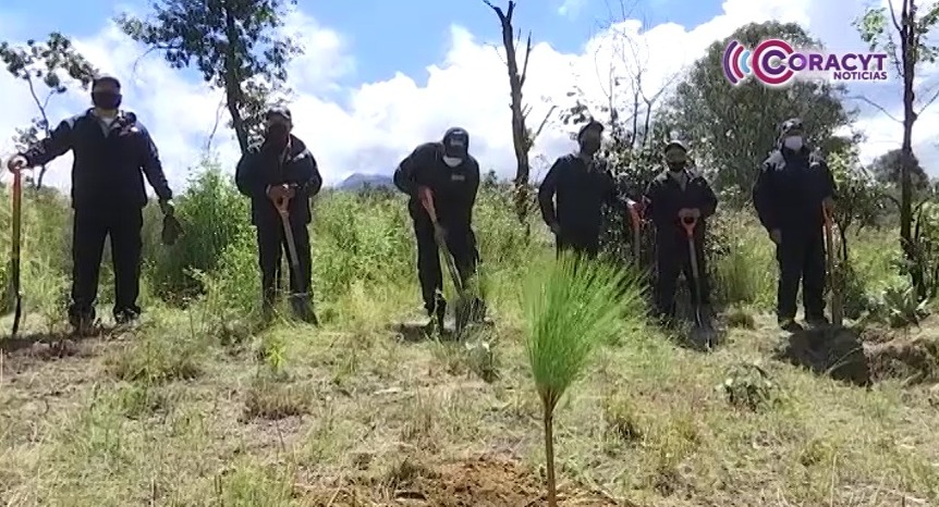 Invirtió gobierno estatal más de 4.9 MDP para recuperar ecosistemas en Tlaxcala