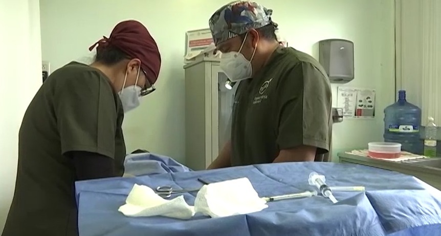 Convoca Sector Salud a Jornadas Gratuitas de Vasectomía sin Bisturí