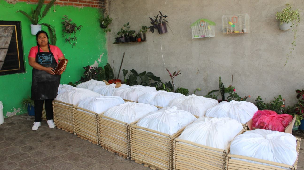 Impulsó FOMTLAX a 658 mipymes con más de 23 MDP en el primer semestre de 2025