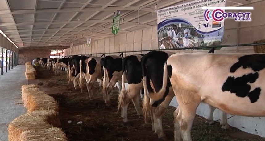 Mantiene la SIA vigilancia sanitaria permanente en la entidad