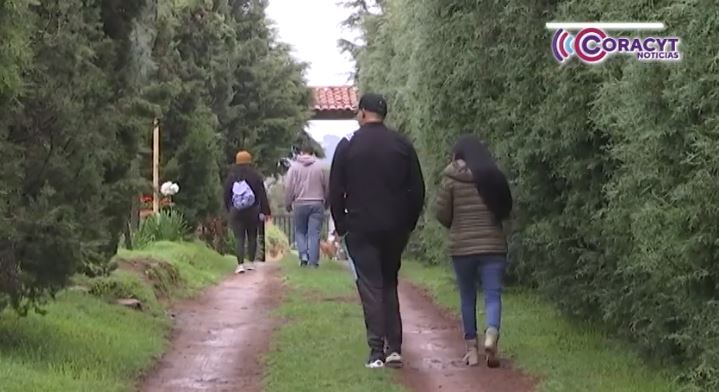 Disfrutan turistas de un encuentro natural con las luciérnagas