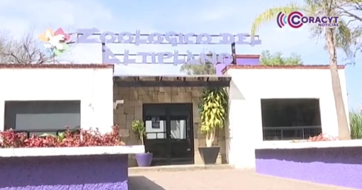 Zoológico del Altiplano listo para recibir visitantes estas vacaciones de verano