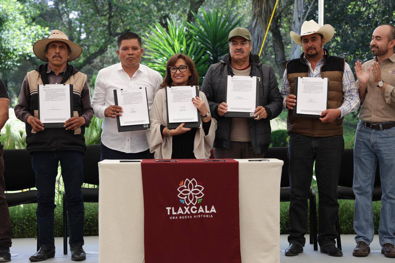 Invertirá gobierno estatal 10 MDP en restauración de áreas afectadas por incendios