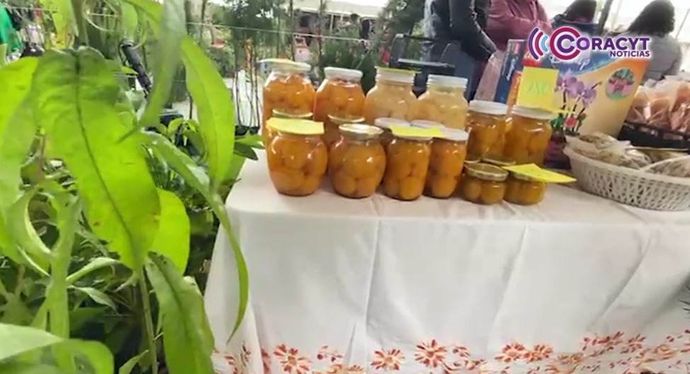 Durazno, fruta que deleita el paladar