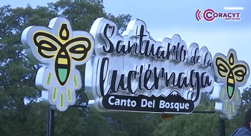 Cuenta Nanacamilpa con 18 centros autorizados para el avistamiento de luciérnagas