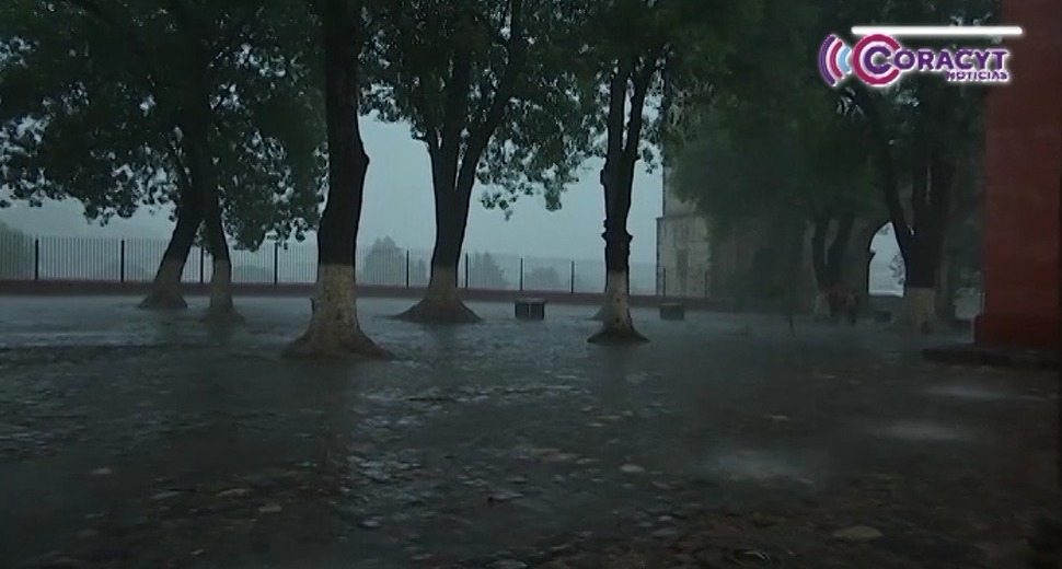Tormenta tropical 