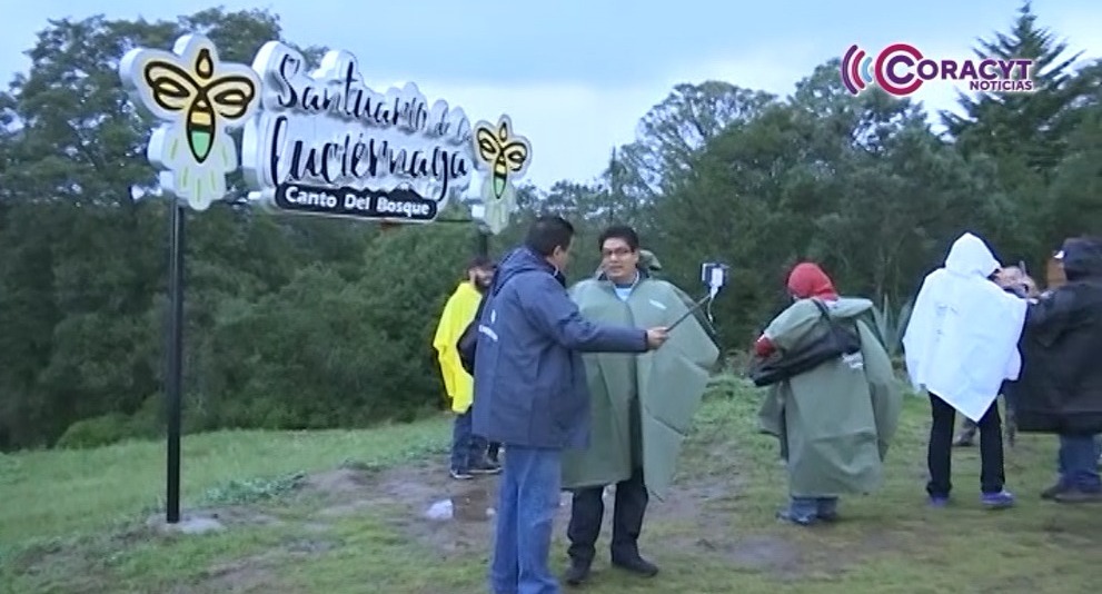 Prevé sector hotelero ocupación del 100 por ciento por temporada de luciérnagas