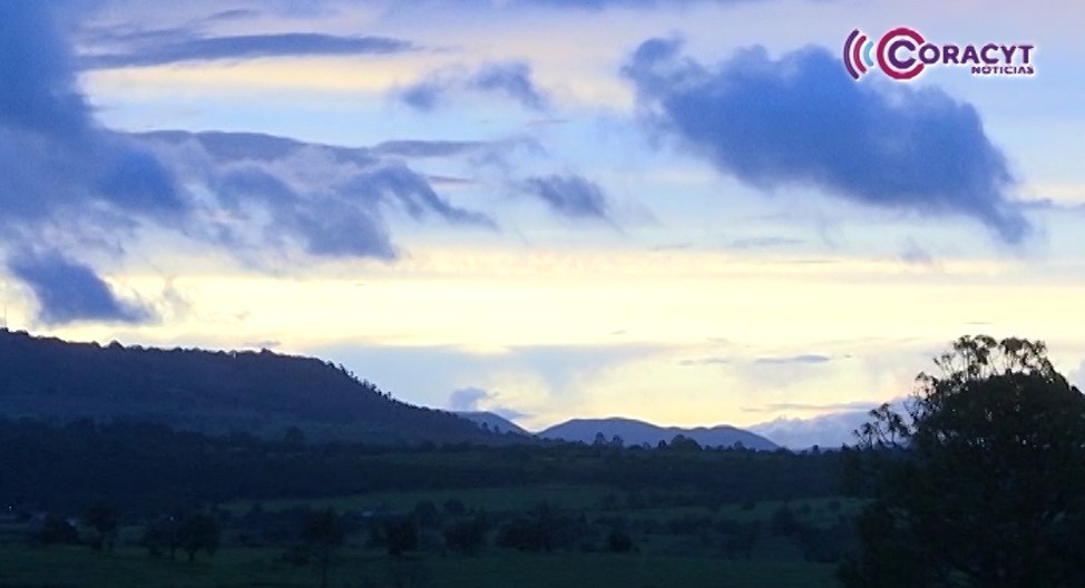 Avistamiento de luciérnagas, espectáculo mágico de la naturaleza