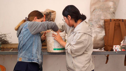 Jóvenes tlaxcaltecas aprenden a transformar el campo y el ambiente