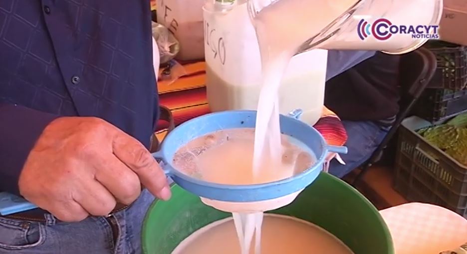 Feria del Pulque en Altlzayanca recauda fondos para reforestar el cerro San Gabriel 
