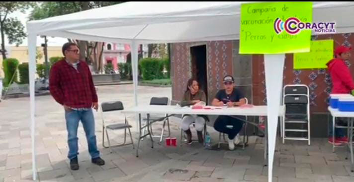 ¡Cuida a tus animales de compañía!