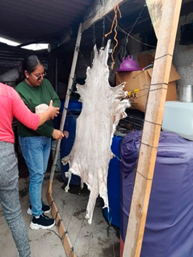 SIA impulsa taller para dar valor agregado en subproductos de la cadena ovina