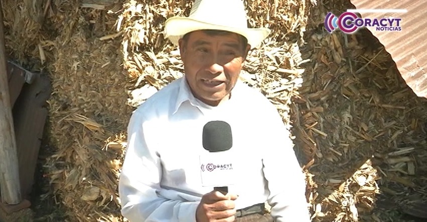 José Cirilo Santiago Rojas preserva la siembra ancestral del maíz