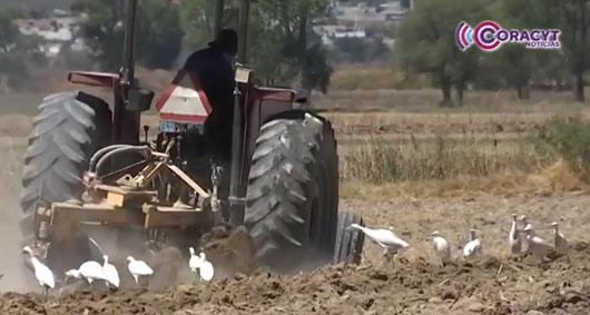Verificará SIA más de 47 mil solicitudes para maquinaria e infraestructura agrícola 