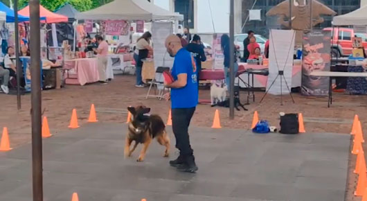 “Expo Tu Mascota” llena de amor y ladridos el corazón de Tlaxcala 