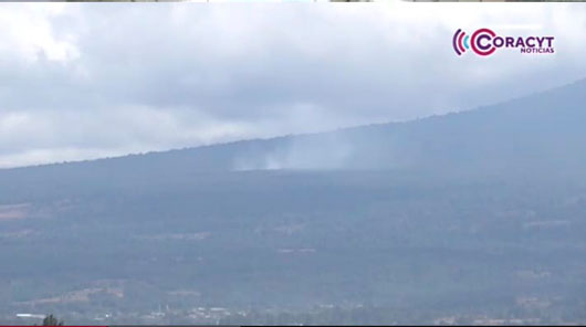 En lo que va del 2025, Tlaxcala ha registrado 75 incendios forestales 