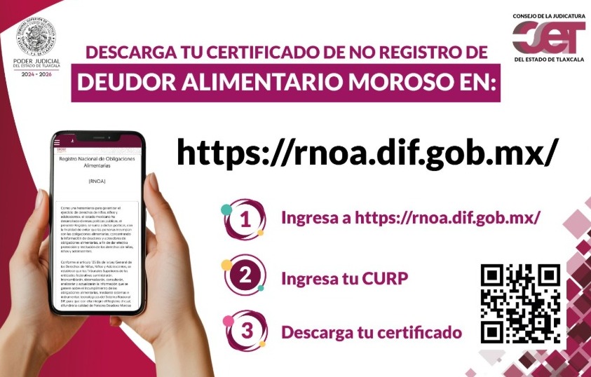 Recuerda que el Certificado de No Deudor Alimentario ya es obligatorio y lo puedes obtener fácil y rápido: TSJE