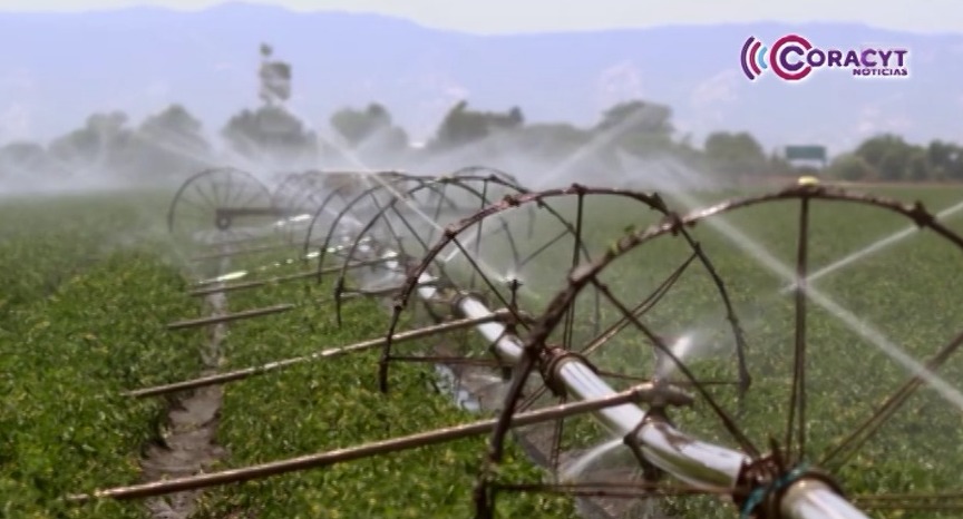 Inició el registró al Programa de Energía Eléctrica para Uso Agrícola 2026